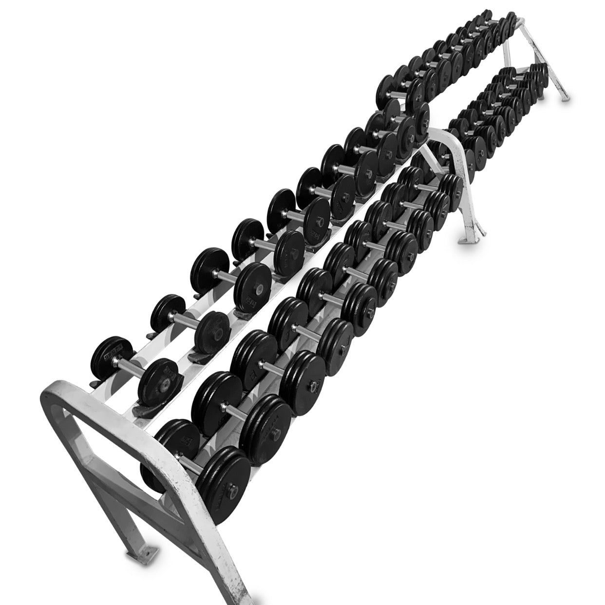 2.5-50kg Pro-Style Dumbbell Set (2.5kg increments)